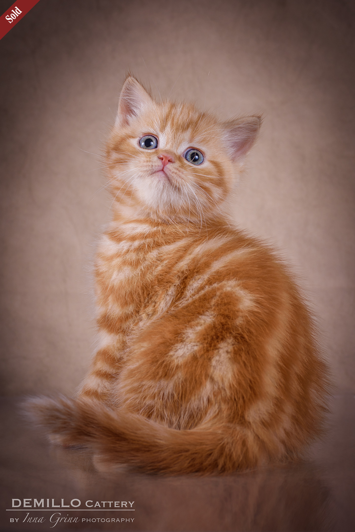 Male, 05.02.2021.