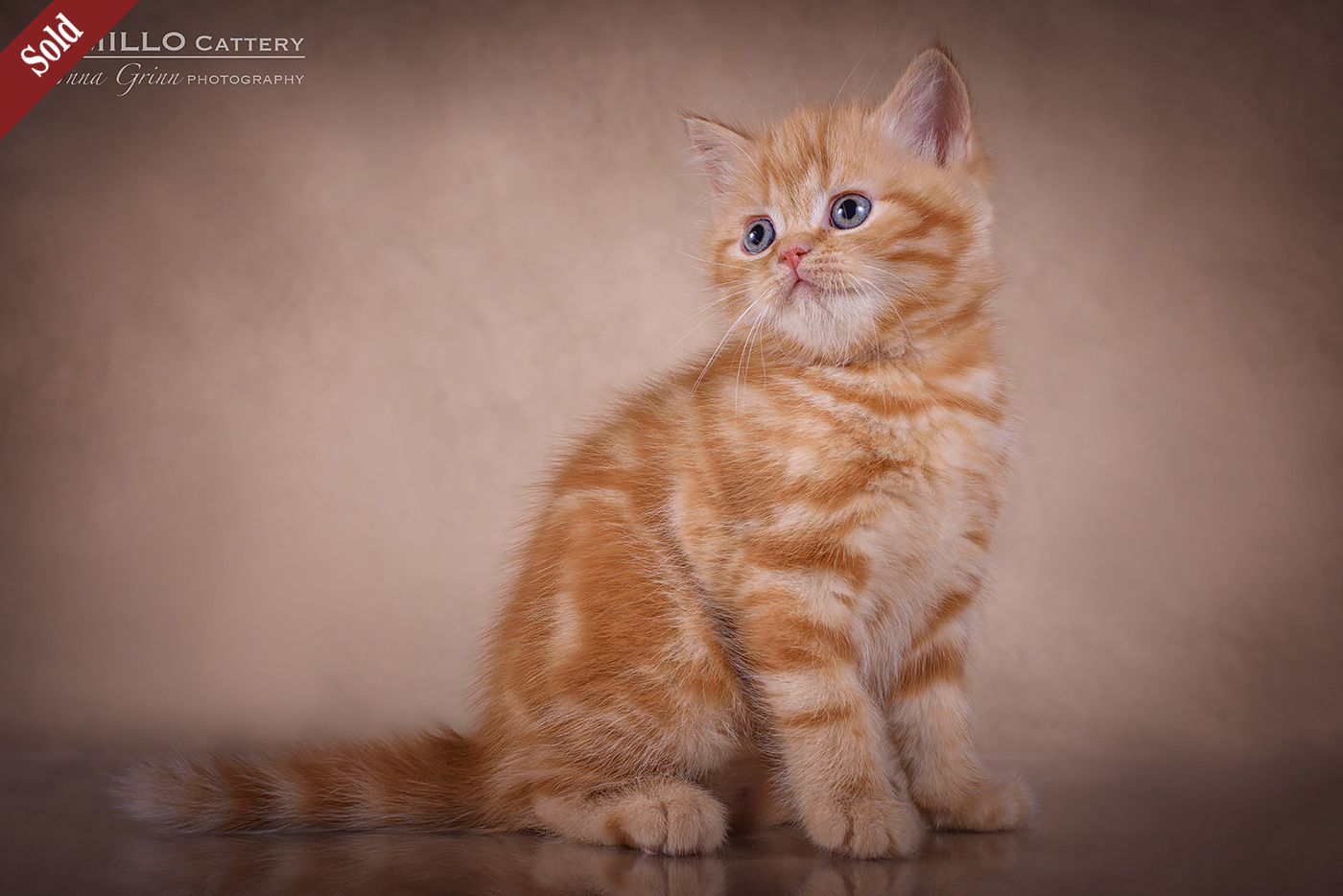 Male, 05.02.2021.