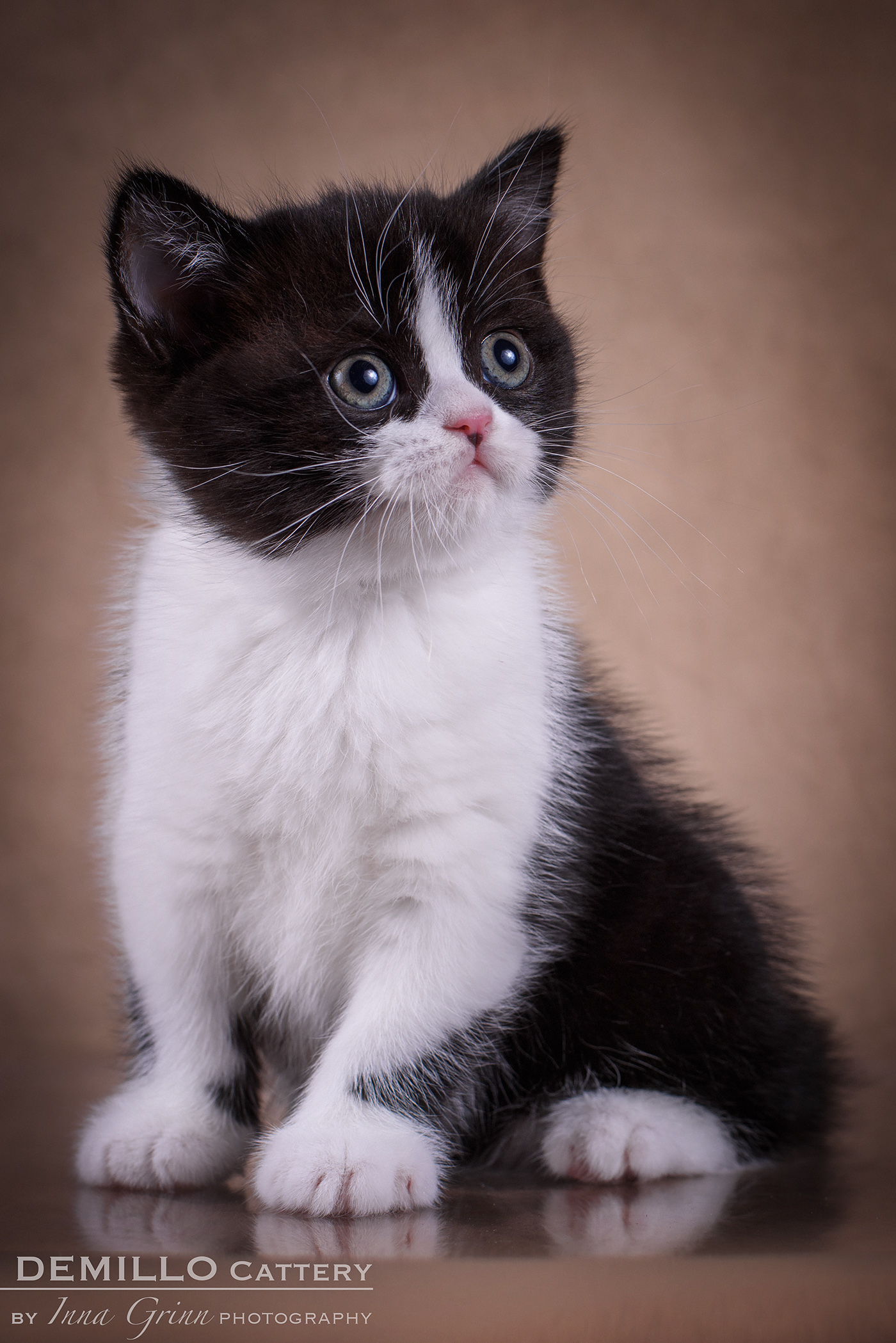 Female, 05.02.2021.