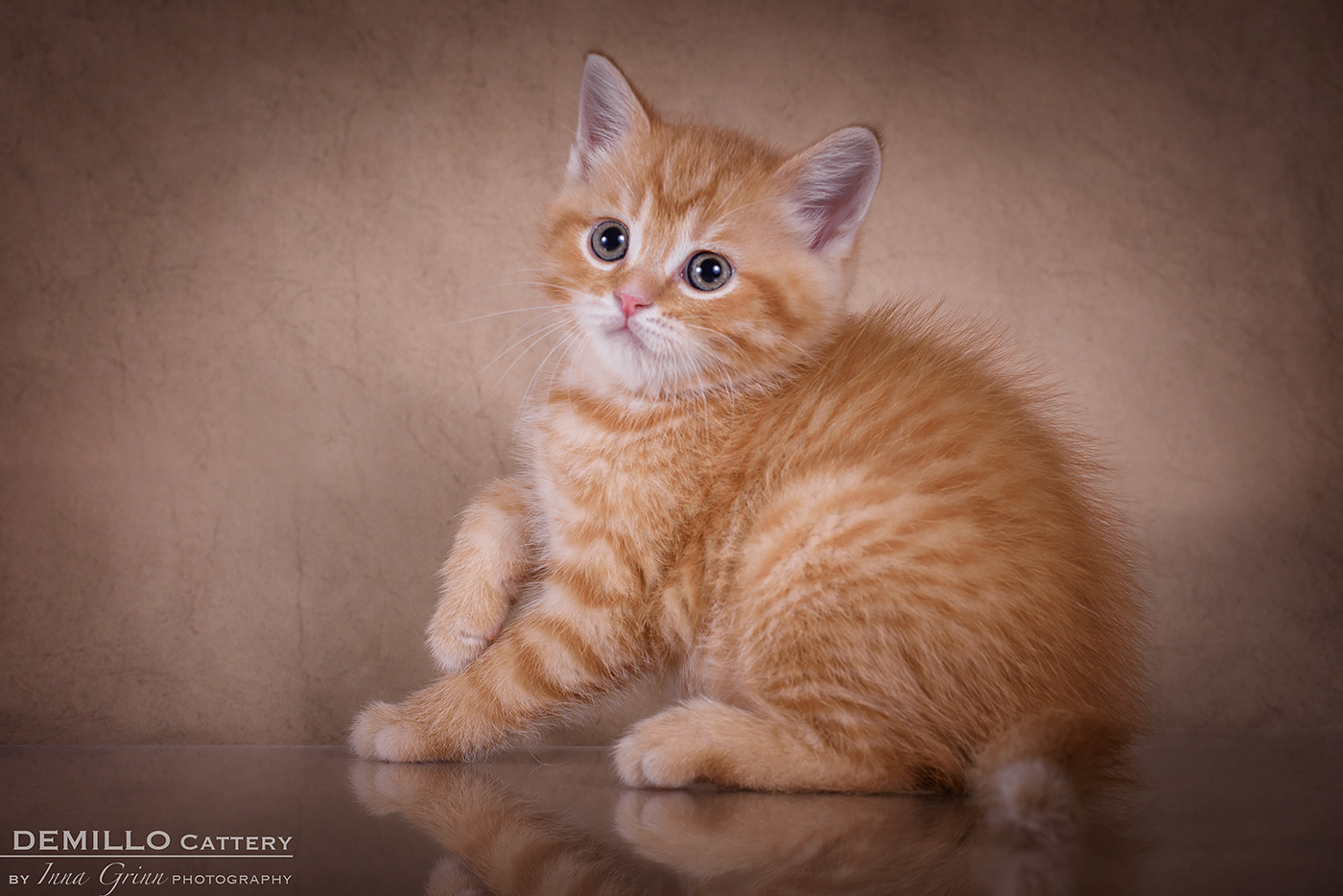 Male, 05.02.2021.