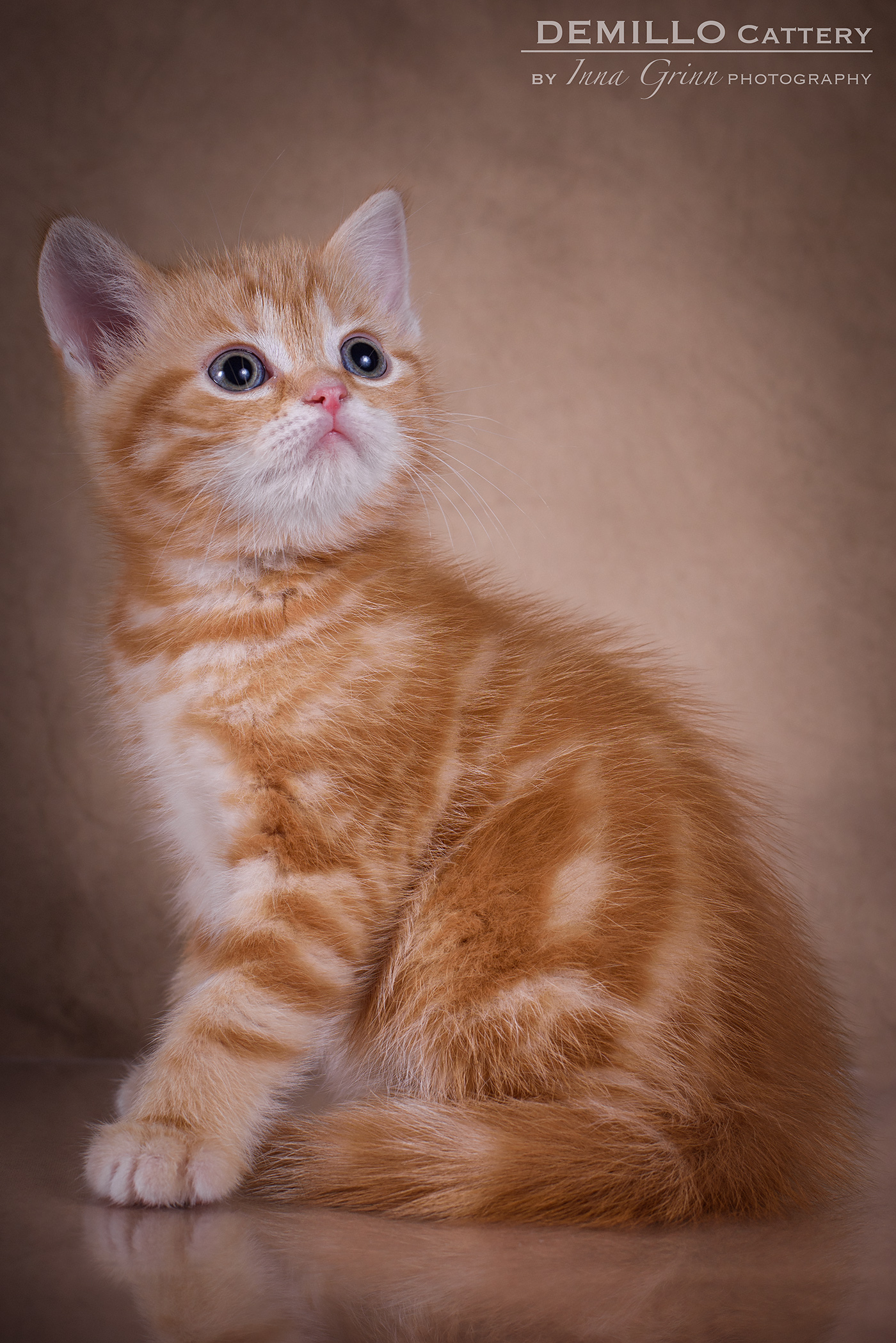 Male, 05.02.2021.
