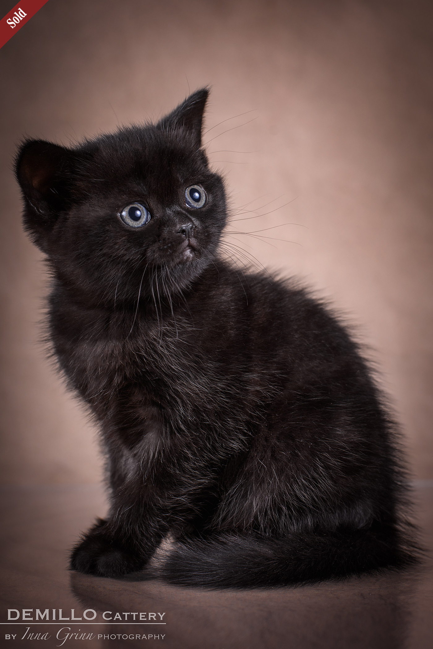 Female, 05.02.2021.