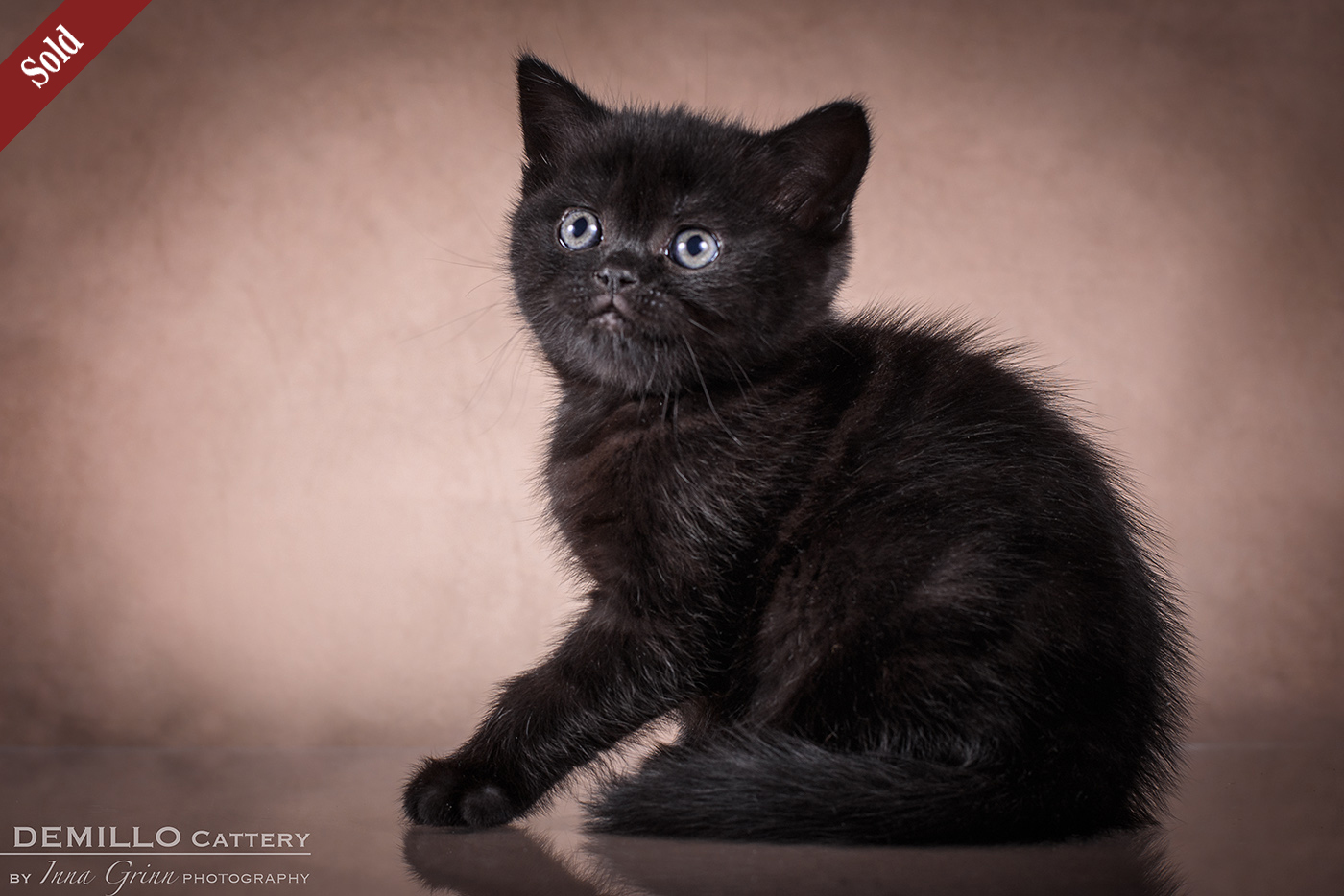 Female, 05.02.2021.