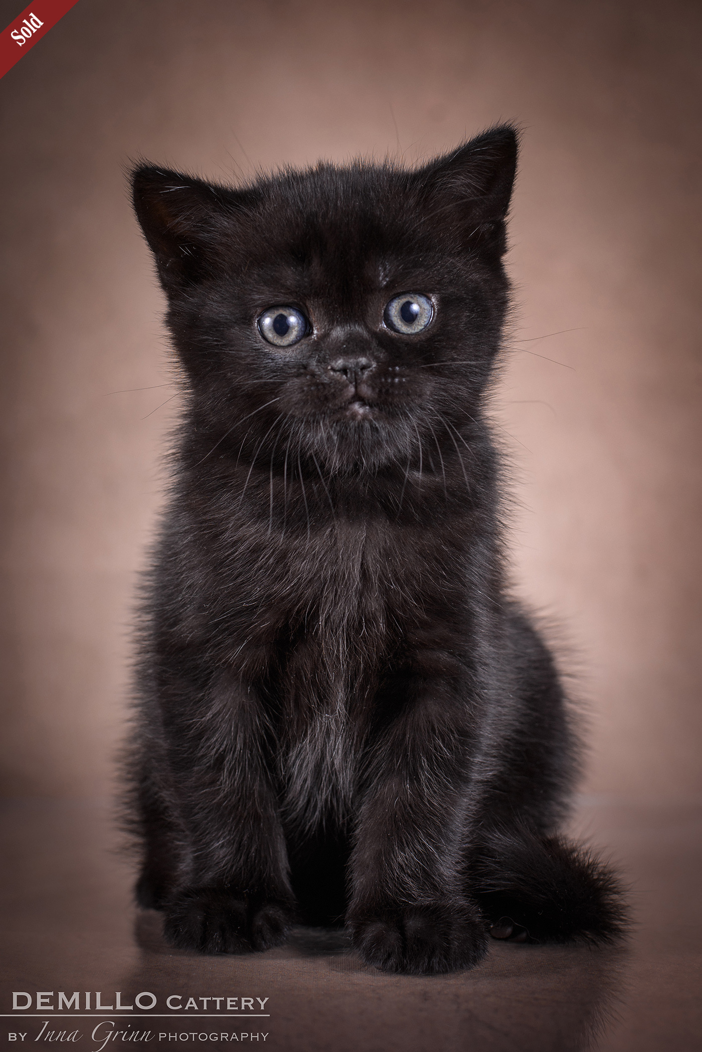 Female, 05.02.2021.